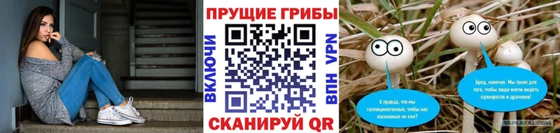 Псилоцибиновые грибы Magic Shrooms  хочу   Горбатов 